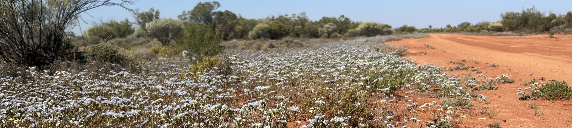 Red Hill site